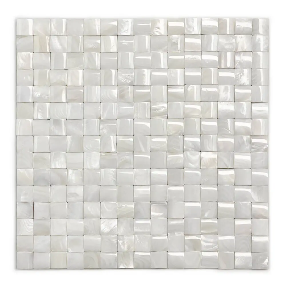 mother-of-pearl-mosaic-tiles-B1001-_1_